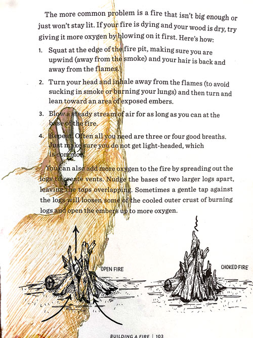 fire-rabbit