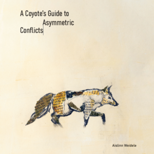 A Coyote's Guide to Asymmetric Conflicts
