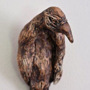 Cranky Crow